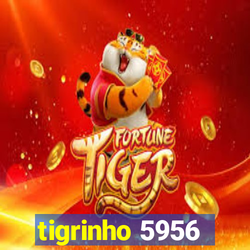 tigrinho 5956